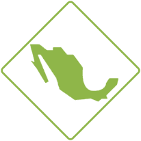 Mexico Insurance